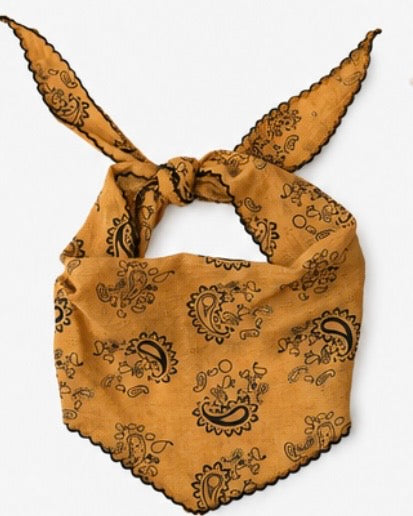 Paisley Triangle Head Scarfs
