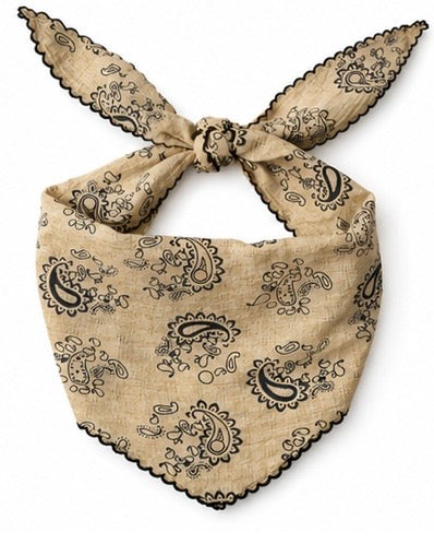 Paisley Triangle Head Scarfs